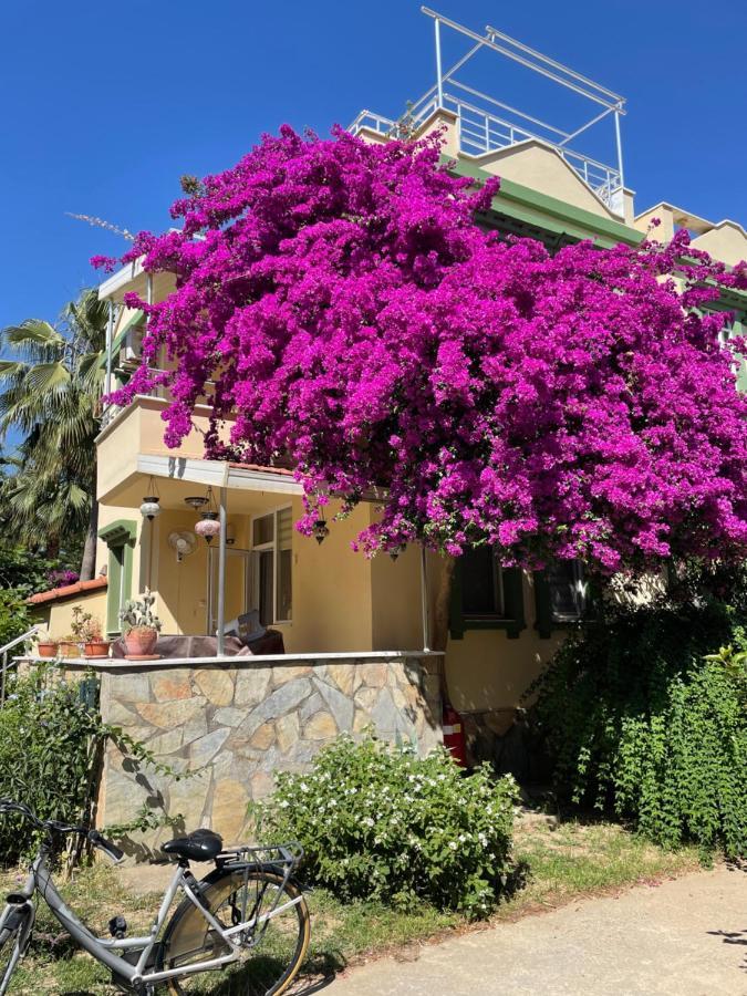 Villa Konak Club Алания Экстерьер фото